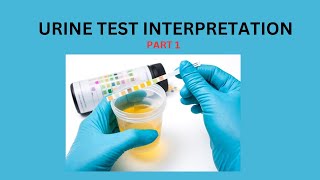 URINE TEST INTERPRETATION  PART 1 [upl. by Rezzani]