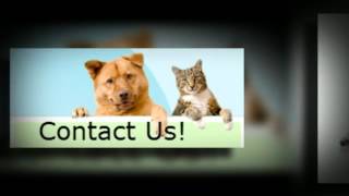 480 2792831 quotPet Clinic 85298quot Gilbert AZ quotVeterinary Clinic Arizonaquot veterinarian quotpetsquot [upl. by Lokcin742]