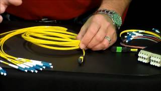 MTP Breakout Cables Video [upl. by Garson]