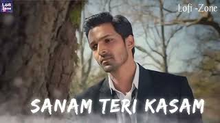 Sanam Teri Kasam Song  Hindi song [upl. by Esor]