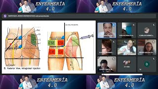 🌟DIVISIÓN REGIÓN DORSOGLÚTEA🌟vía intramuscular P1 [upl. by Horgan]