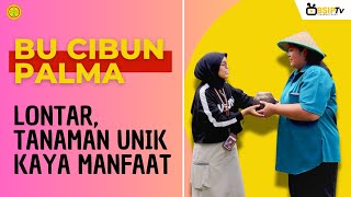 LONTAR TANAMAN UNIK KAYA MANFAAT [upl. by Crispa]