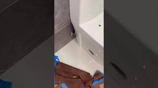 Toilet installation nightmare bad [upl. by Ranilopa]