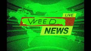 WEEDTF2NEWS INTRO OST [upl. by Ihn]