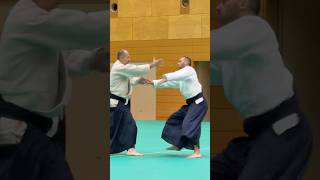 wwwaikikaisk  Slovak Aikido Association  Aikikai Slovakia [upl. by Modern]