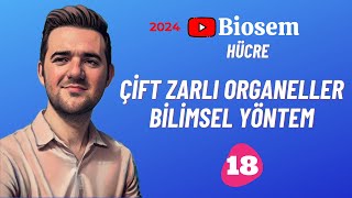 Çift Zarlılar Bilimsel Yöntem Soru Çözümü  yks2024 Biyoloji Soru Çözümü  9sınıf Soru Çözümü [upl. by Turne279]