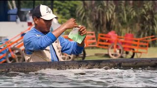 Piscicultura aprenda cómo debe ser el óptimo monitoreo y medición del agua  La Finca de Hoy [upl. by Reynard]