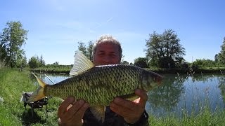 Pesca a passata sul Naviglio [upl. by Lacy]