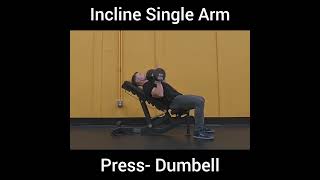 Incline Single Arm Press DB 4 sec lower [upl. by Evanthe352]