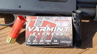 Hornady Varmint Express 234quot 24 Pellet 4 Buck Test W Remington 870 amp Kicks Buck Kicker Full Choke [upl. by Lihkin27]