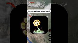 Very Creepy Flower Tree Found On Google Map And Earth shorts mappoint [upl. by Ahcurb]