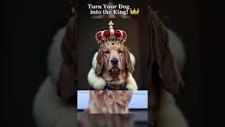 Turn your doggie into the King with DreamFace [upl. by Novelia521]