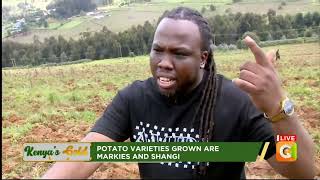 Kenyas Gold  DJ Tee Boy as a potato farmer  Agri Star [upl. by Myles]