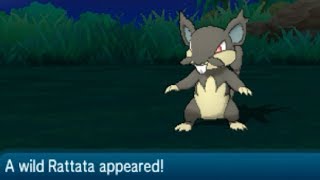 Pokemon Sun amp Moon  How to Catch RATTATA Route 1 [upl. by Joelly723]