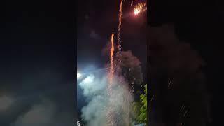 35 Sony fireworks skyshots with standard crackers phataka fireworksdisplay shorts indian [upl. by Ayotyal]