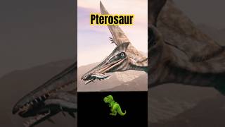 🦖 What is a Pterosaur What was a Pterosaur What is a Pterodactyl dinosaur pterosaurus history [upl. by Novak497]