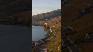 Tastes of autumn  Savourer lautomne  Genießen Sie den Herbst  Lavaux UNESCO 1 [upl. by Templer]