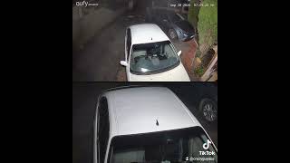 Fawkner thiefs try to break in cars [upl. by Enilraep]