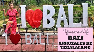 QUE HACER EN BALI  TERRAZAS DE ARROZ DE TEGALALANG 🇮🇩 [upl. by Odo]