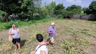 Community Allotment Gardens [upl. by Rikki]