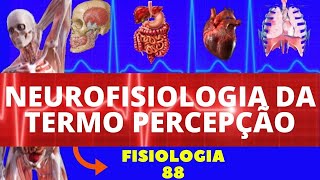 NEUROFISIOLOGIA DA DOR E TERMORRECEPÇÃO FISIOLOGIA DE GUYTON NOCICEPÇÃO E FISIOLOGIA DA DOR [upl. by Larrabee]