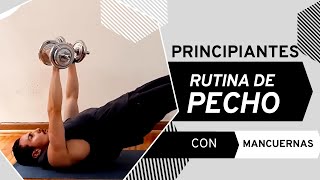 Rutna de Pecho  Ejercicios de PECHO Con Mancuernas [upl. by Jc205]