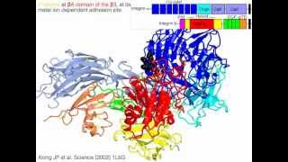 Integrins with sound [upl. by Borman]