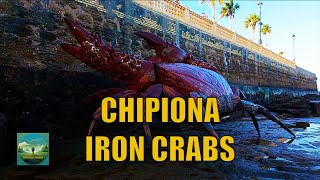 Hyperlapse Chipiona Crab Iron Sculptures Walking Tour Cádiz Andalucía Spain 4K [upl. by Bocaj110]