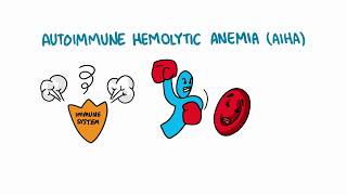 Spanish Anemia hemolítica autoinmune Autoimmune hemolytic anemia [upl. by Ellerred]