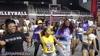 Sigma Gamma Rho Stroll  Valdosta State Poodles at NPHC Yard show [upl. by Sarad]