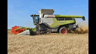 Claas Lexion 8900 a la moisson des froments [upl. by Lapointe623]