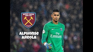 Alphonse Areola • Welcome To West Ham • INSANE SAVES  HD [upl. by Gilligan]