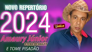 AMAURY JUNIOR O FERA DO BAILÃO  REPERTÓRIO NOVO 2024 [upl. by Strade]