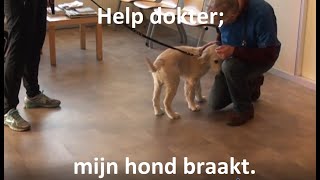 Help dokter mijn hond braakt [upl. by Isobel]