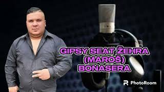 💣💣💙💙💙💯👌GIPSY SEAT ŽEHRA MAROŠ BONASERA COVER [upl. by Modeerf]