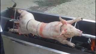 Cochon de 43 Kg [upl. by Odille]