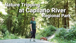 Nature Trip  Capilano River Regional Park  North Vancouver [upl. by Nnuahs52]