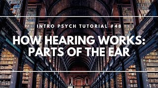 How Hearing Works Parts of the Ear Intro Psych Tutorial 48 [upl. by Spevek]