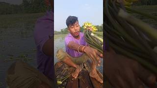 Saluk fular dasy comady minivlog funny vlog shortvideo shorts [upl. by Carrick445]