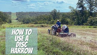 How To Disc Harrow A Field On A 1952 Ford 8N Tractor Deer Food Plot 2021 Whitetail Deer Season [upl. by Litman]