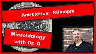 Rifampin Antibiotic for Tuberculosis Microbiology [upl. by Kingston]