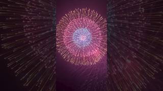 Amazing Crackle View 💥💥🎆🎆 fireworks rocketlaunch youtubeshorts diwalipataka shortsyoutube [upl. by Dosh]