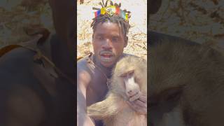 Hadzabe tribe eats baboon [upl. by Rosse]