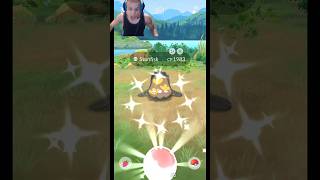 Finally I got ✨Shiny Stunfisk pokemongo pokemon shiny shorts shinypokemon viral pokémon [upl. by Neirbo]