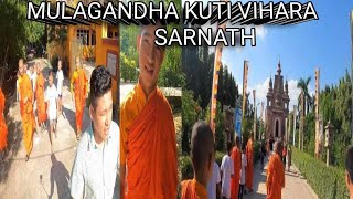 Mulagandha Kuti Vihara Mahabodhi society of IndiaSarnath varanasi Anagarika Dharampal legacy🙏🙏 [upl. by Bradstreet778]