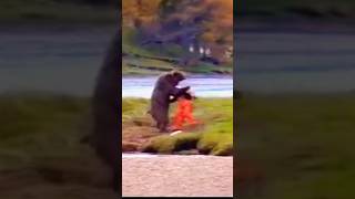 How To Fight a Bear for Salmon John West Commercial how shorts fight [upl. by Airahcaz]