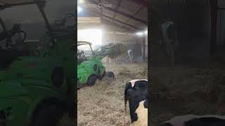 Powerful Machines For Daily Farming Work 🐄 🚜 🌱 Cleaning Cowshed farming howto work cow tractor [upl. by Carlotta732]