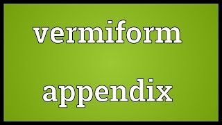 Vermiform appendix Meaning [upl. by Maher]