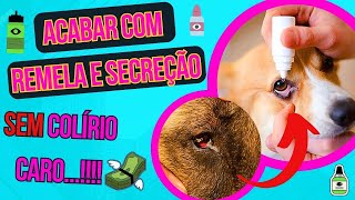 MELHOR COLÍRIO PARA CURAR OLHO DO CACHORRO COM SECREÇÃO E REMELA ENTENDA O PROBLEMA OCULAR DOS CÃES [upl. by Nylkcaj322]