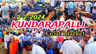 222024 Kundarapalli Friday Goat marketTamilnadu Biggest Goat market in Krishnagiri price details [upl. by Oniuqa]